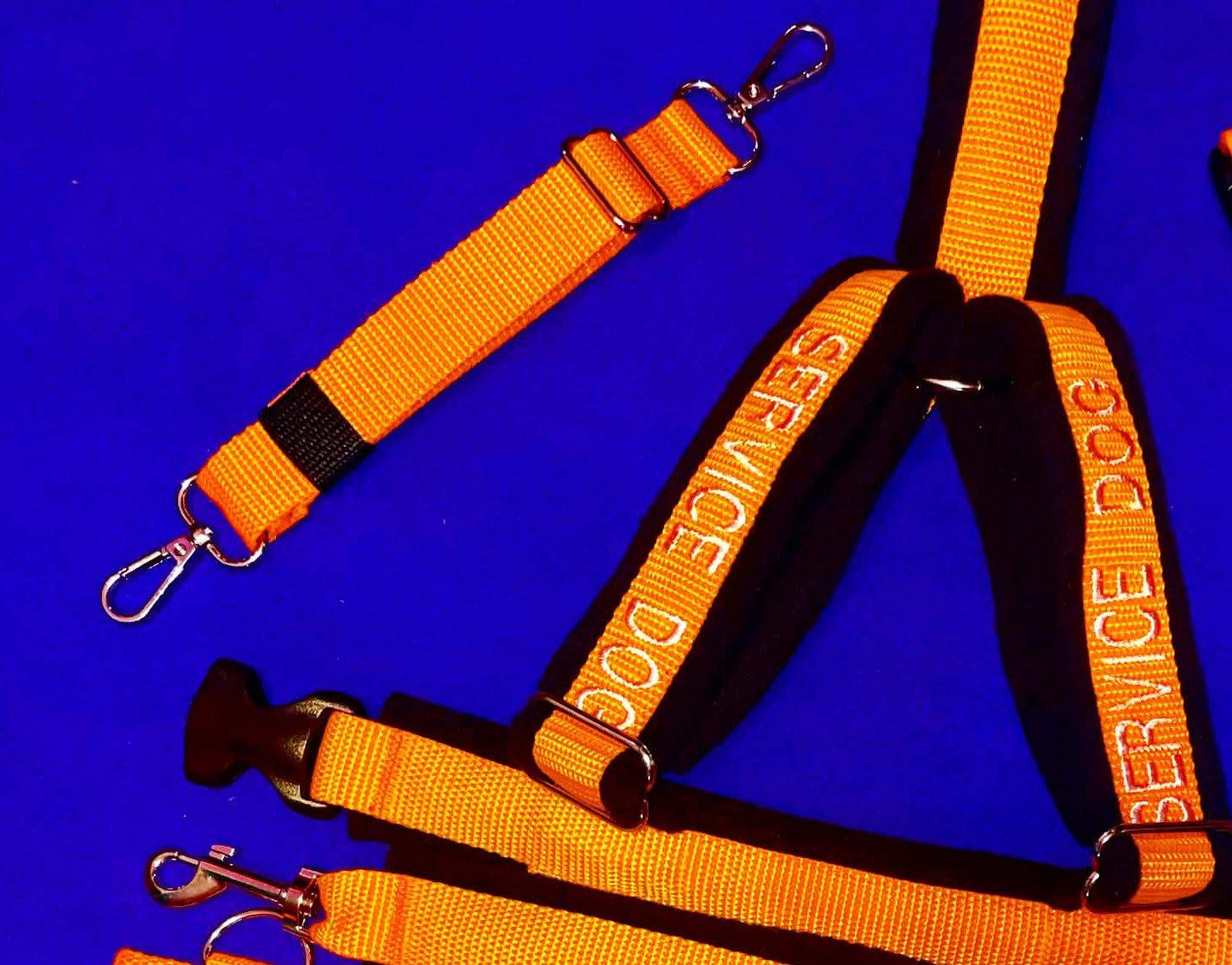 Orange leash with a black handle and a silver clip on royal blue.