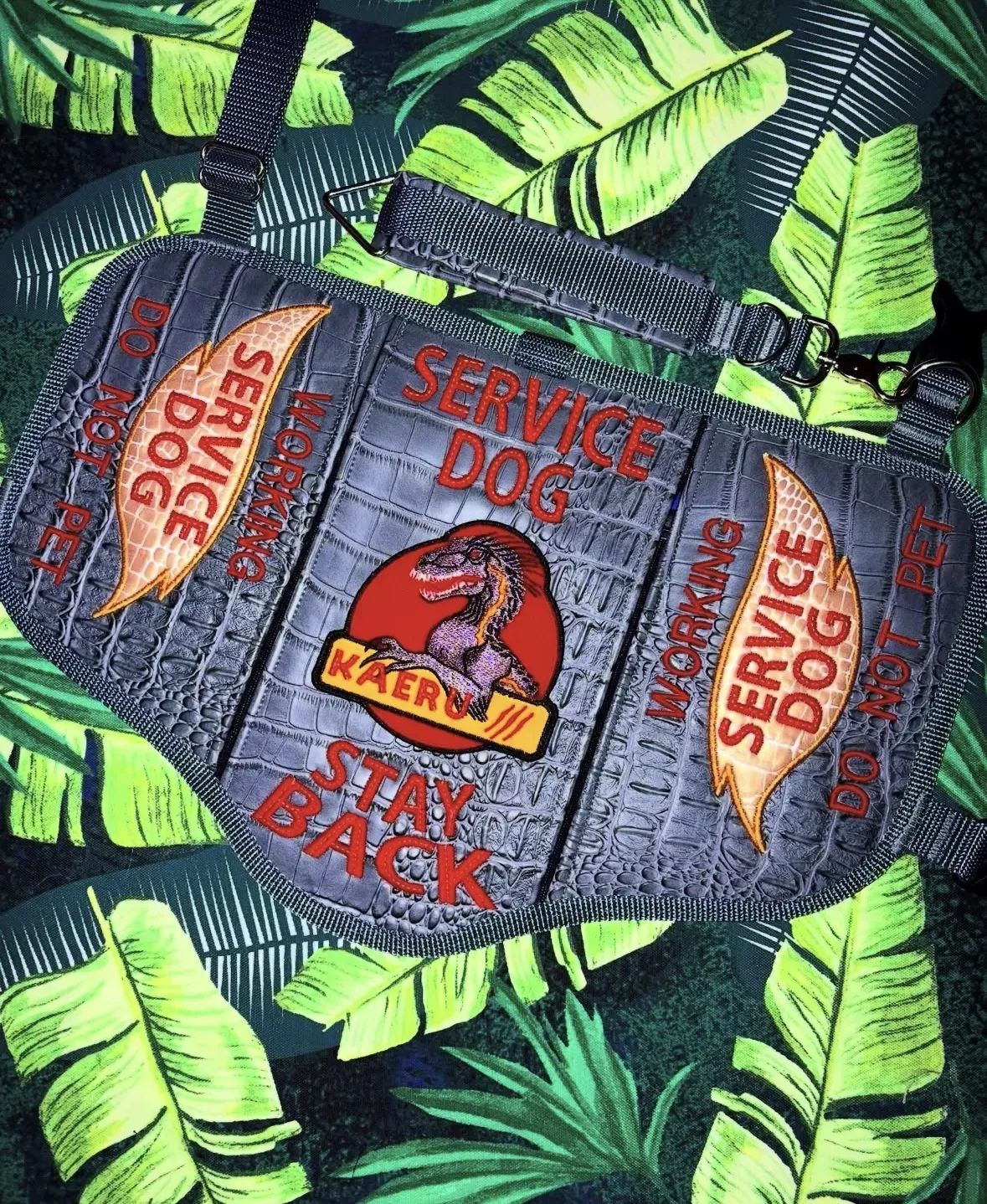 Grey faux-croc service vest reading Service Dog, Stay Back, with the dog's name Kaeru on a raptor emblem.