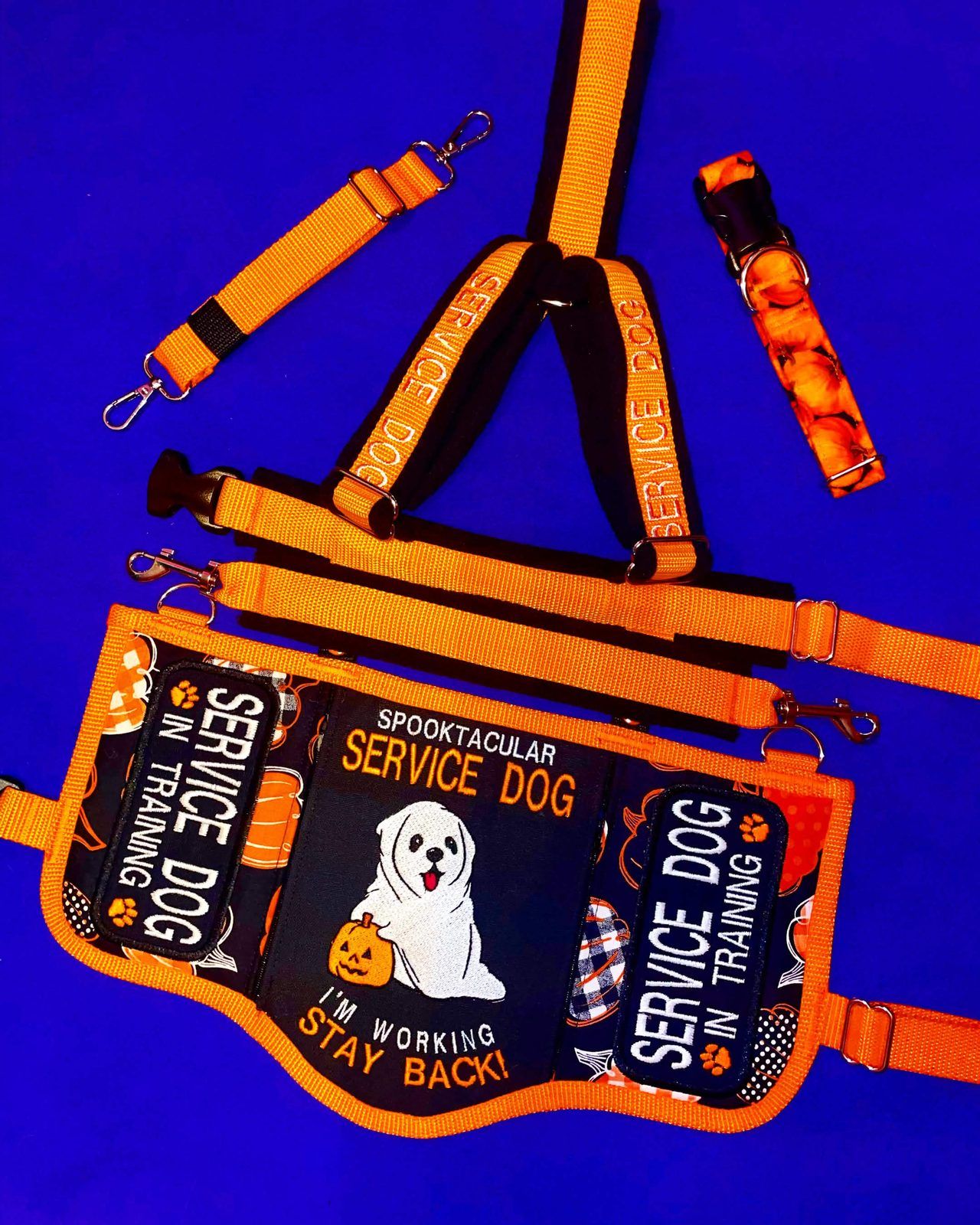 Orange Halloween set: harness, leash and collar with a black vest reading Spooktacular Service Dog, I'm working, stay back, with a ghost holding a pumpkin.