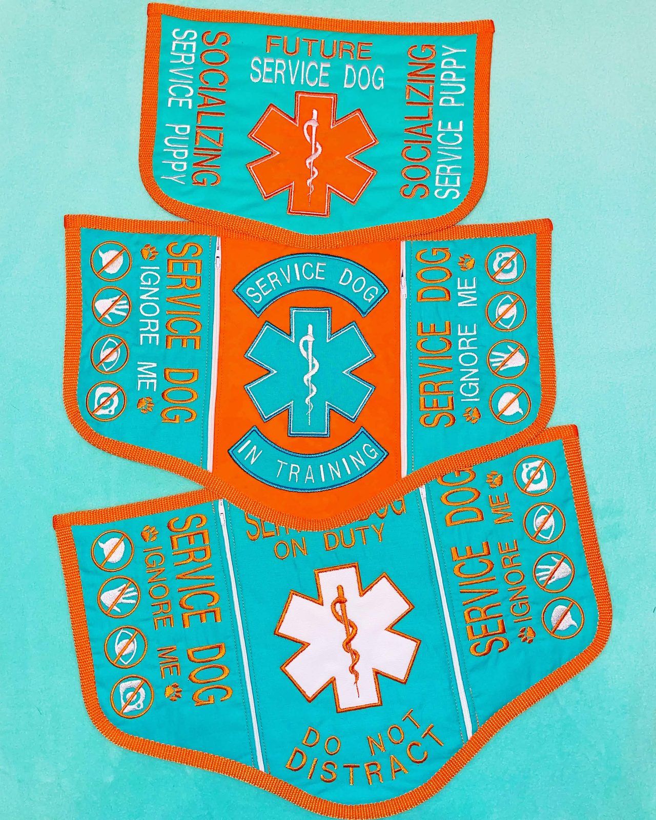 Three matching teal and orange vests reading Future service dog, Service dog in training, and Service dog on duty.
